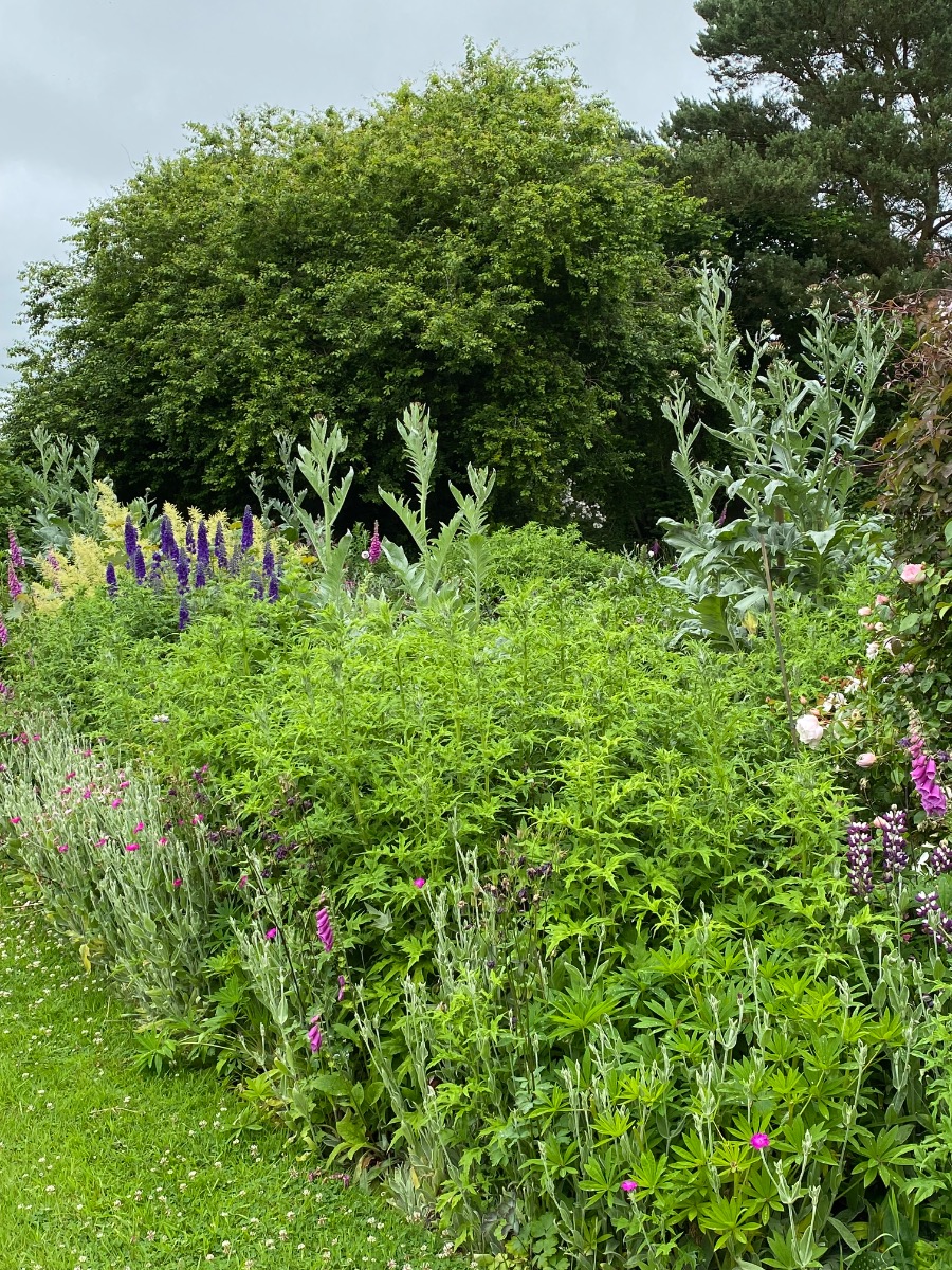 Gardener: Image 18
